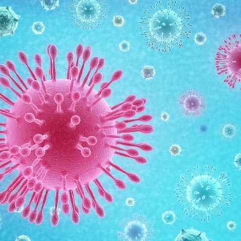 COVID-19 Update: The Eve of a Promising New Year